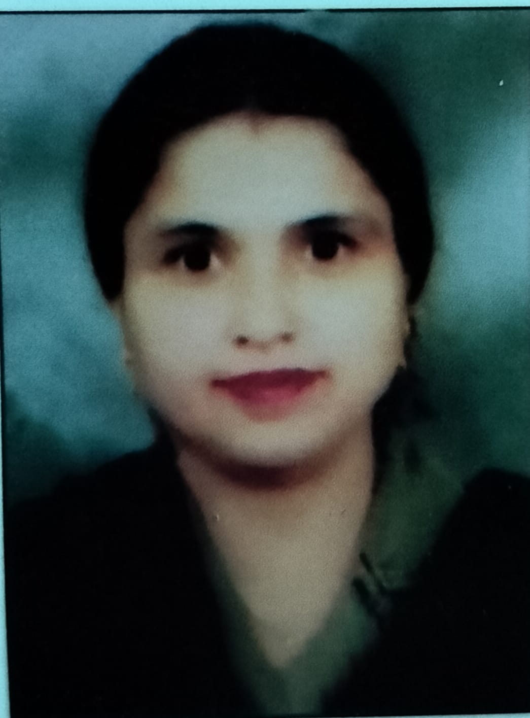 Hans Raj